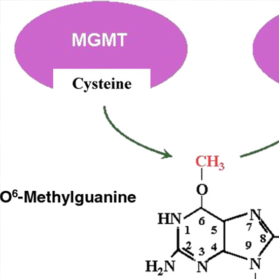 Methylguanine Methyltransferase